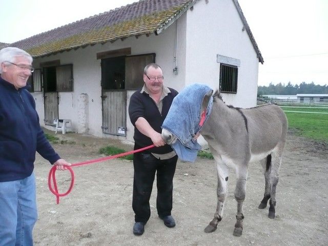 Balthazar et leonard Arrivee (45).jpg